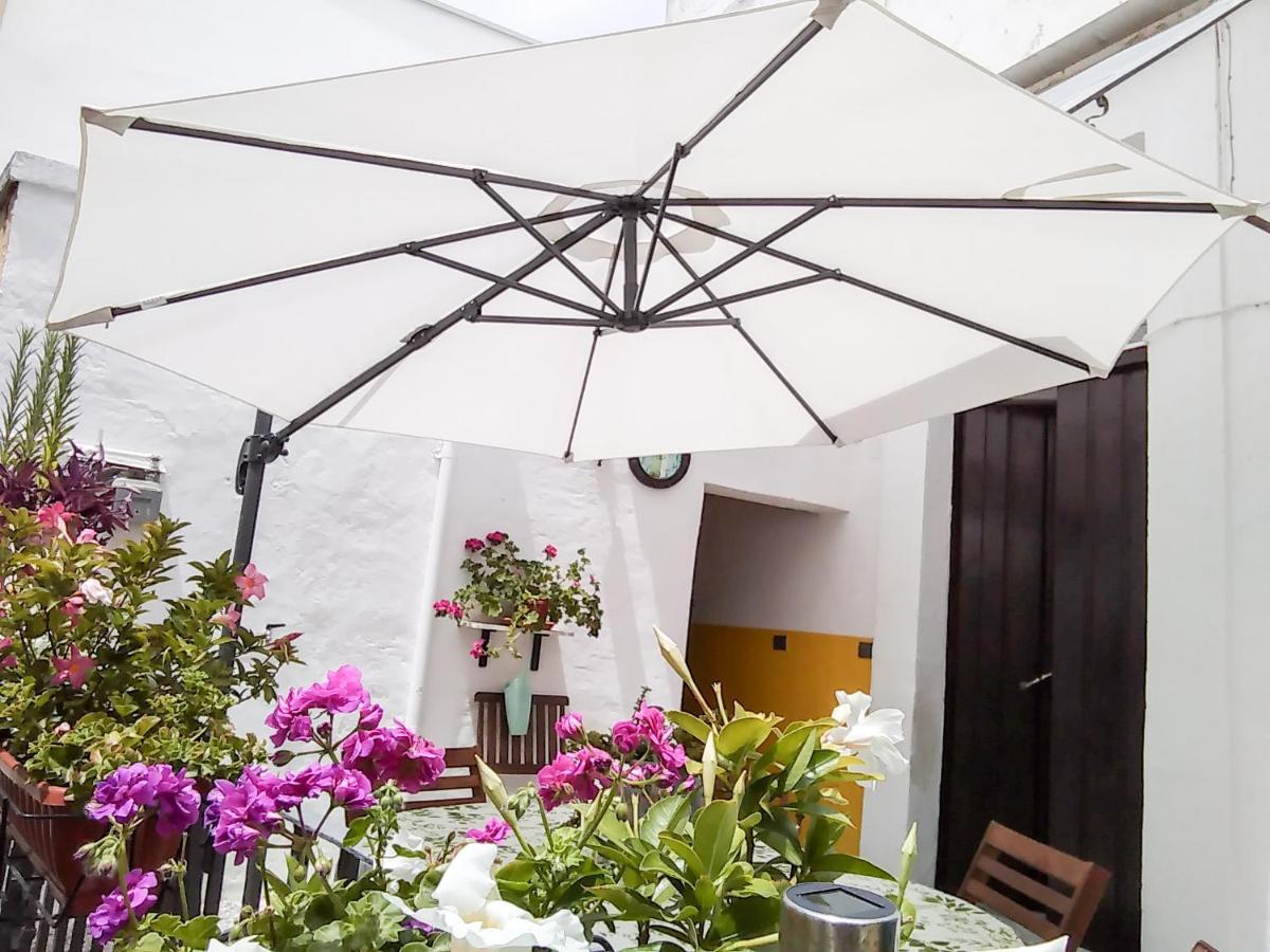 B&B 20 Archi Monopoli Zewnętrze zdjęcie